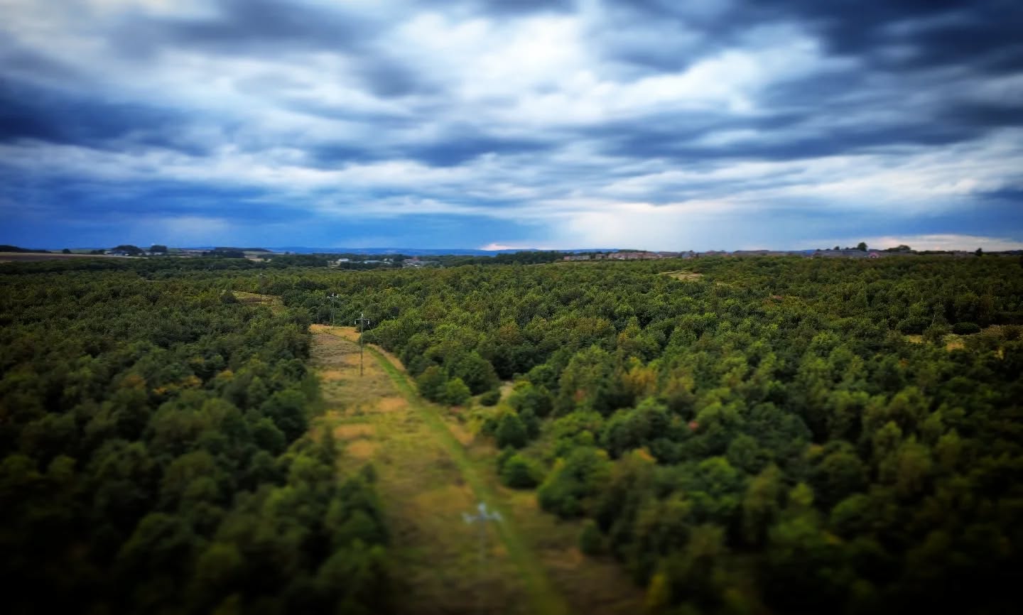 White Hill Woods.
#dji4kmini 
#dronephotography 
#dji
#eastdurham 
#whitehillwoods